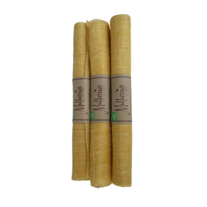 Tissu de corps en soie brute